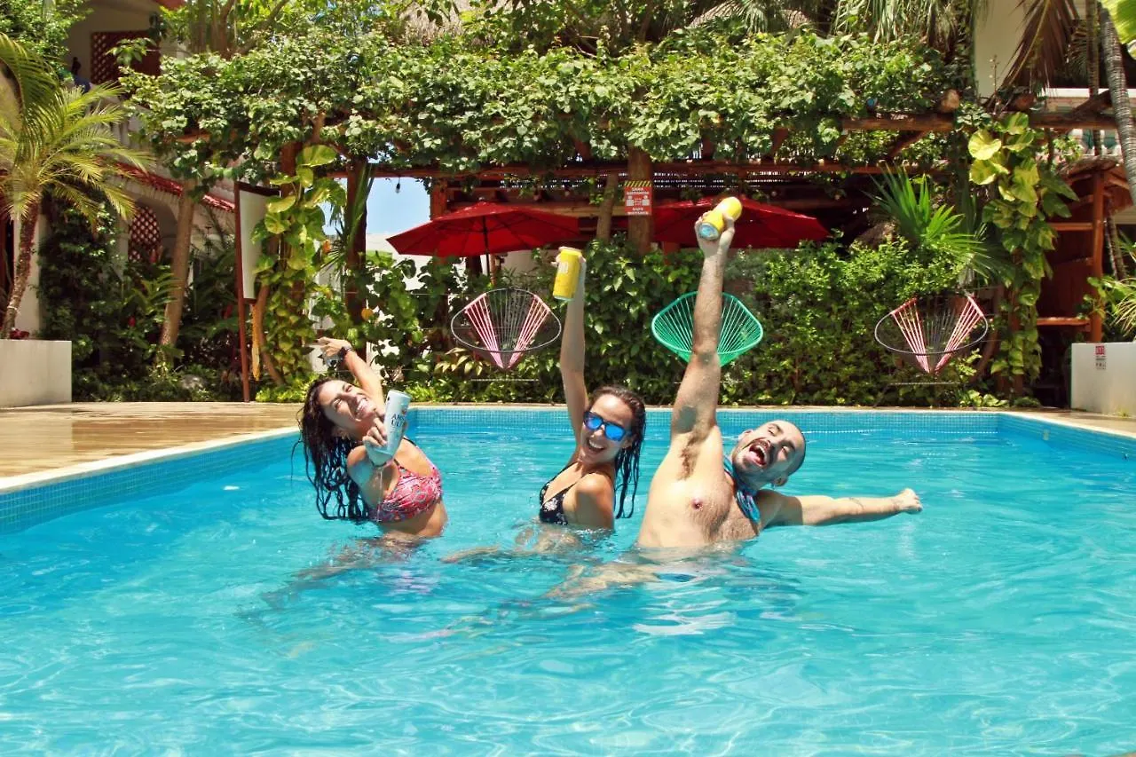 Hotel Villas Colibrí Suites&Bungalows Cozumel