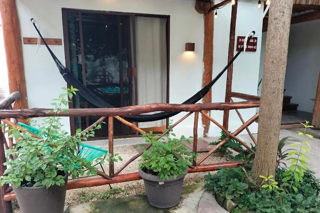 Hotel Villas Colibri Suites & Bungalows كوزوميل المكسيك